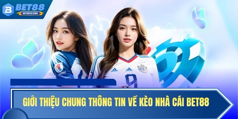 Giới thiệu chung thông tin về kèo nhà cái BET88